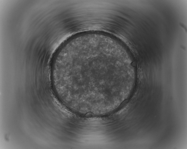 X0000103141118200809121748