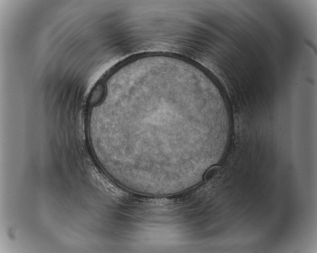 X0000103141120200809121748