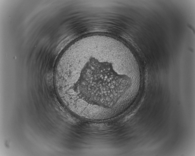 X0000103141121200809121748