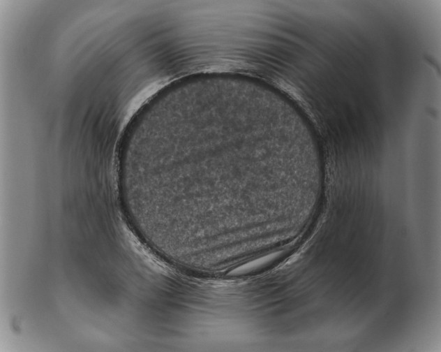 X0000103141122200809121748