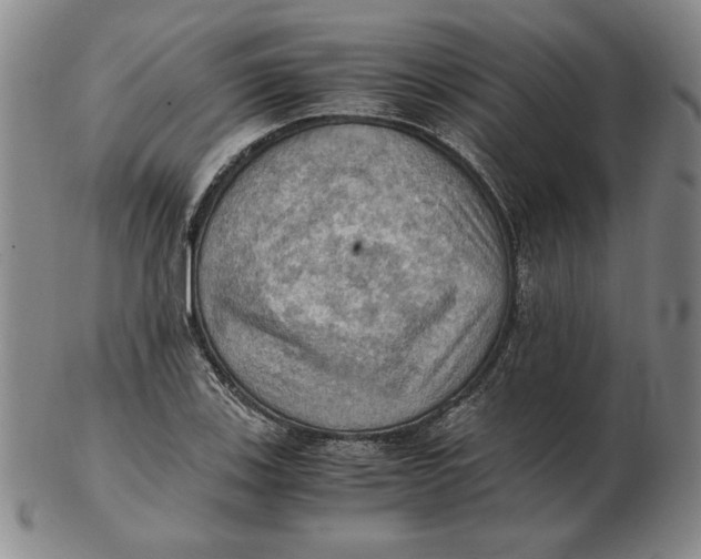 X0000103141123200809121748