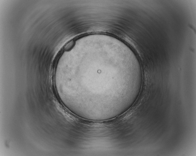 X0000103141124200809121748