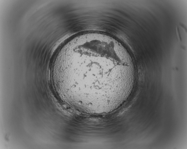 X0000103141125200809121748