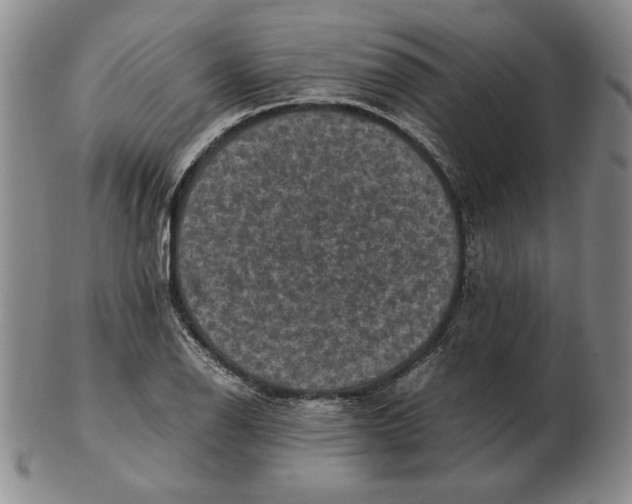 X0000103141126200809121748