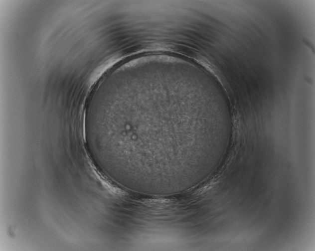 X0000103141127200809121748