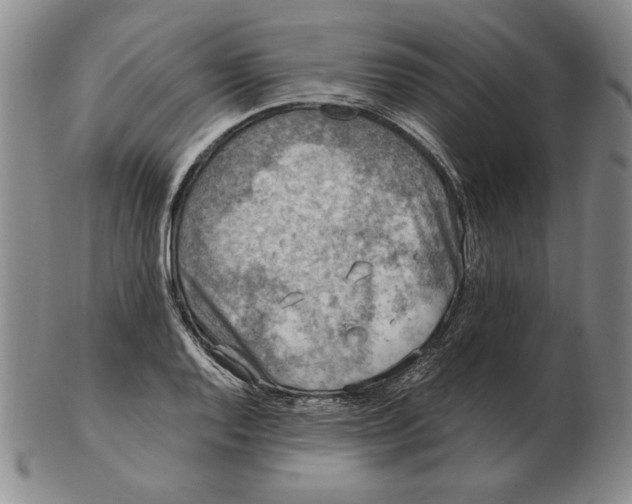 X0000103141128200809121748