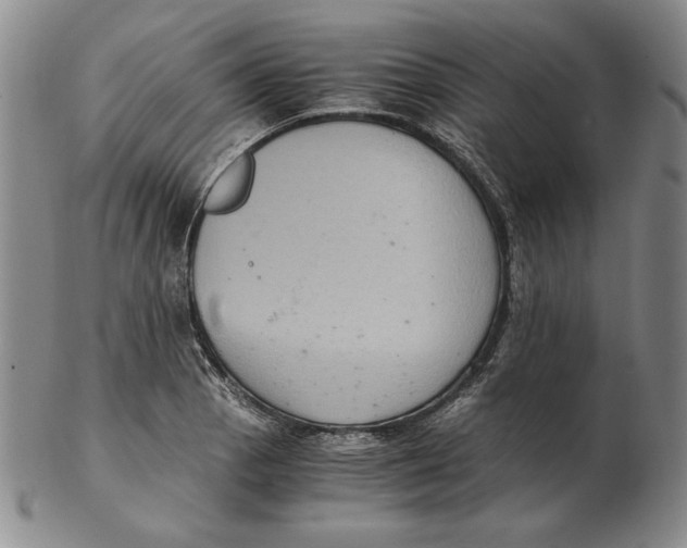 X0000103141129200809121748