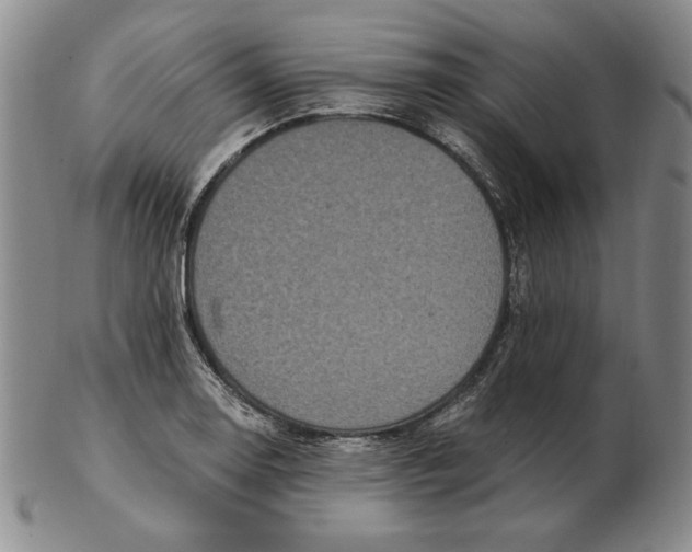 X0000103141130200809121748