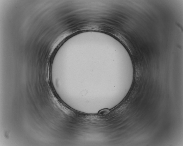 X0000103141131200809121748