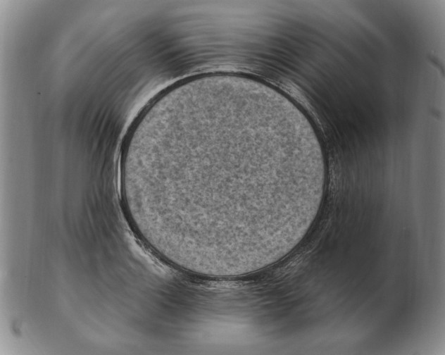 X0000103141132200809121748