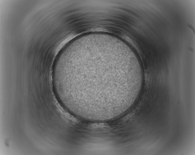 X0000103141133200809121748