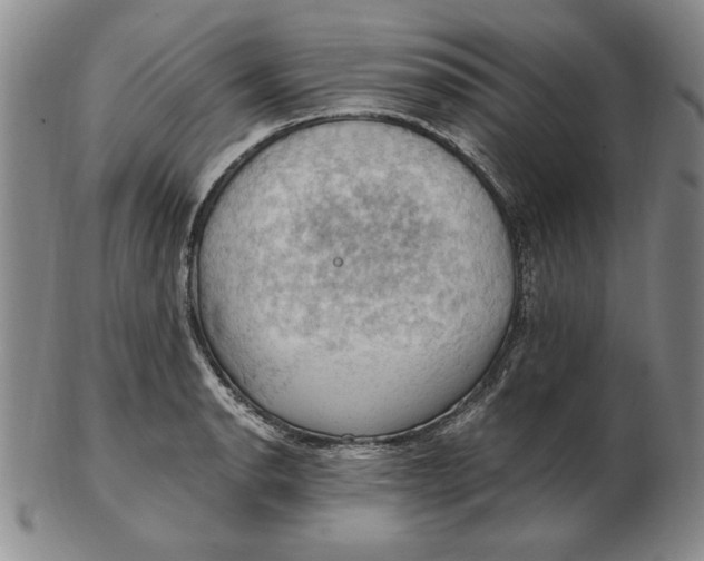 X0000103141134200809121748