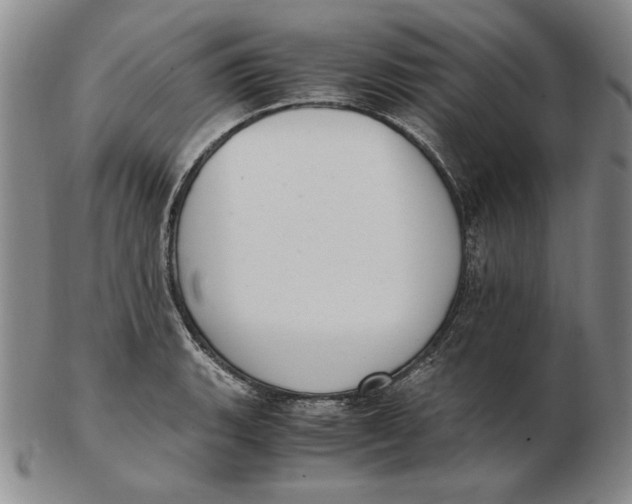 X0000103141135200809121748