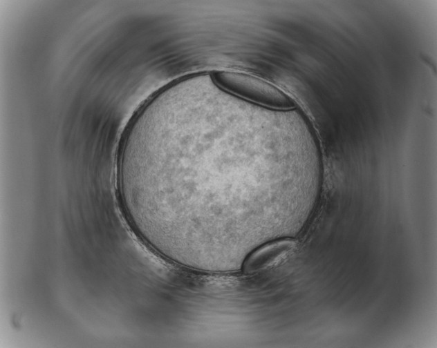 X0000103141136200809121748