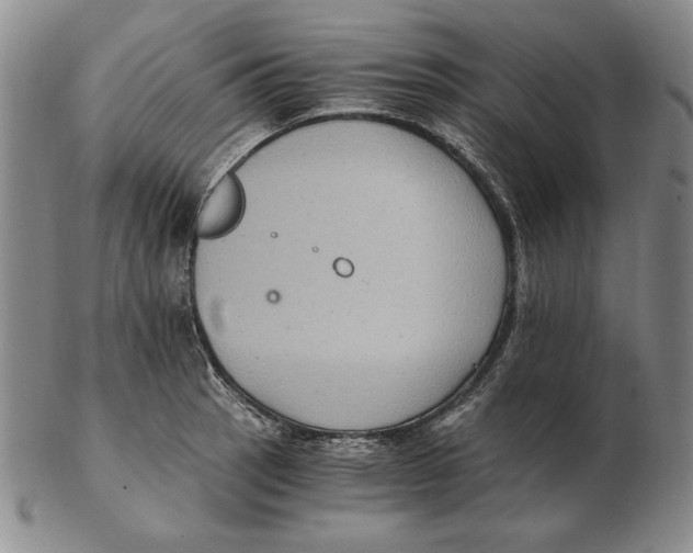 X0000103141137200809121748