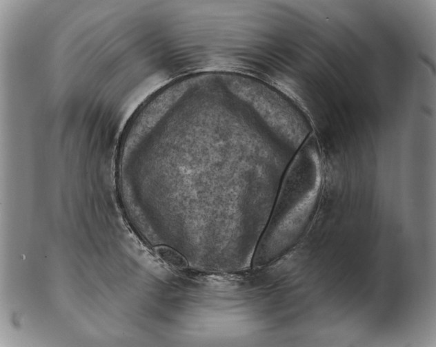 X0000103141138200809121748