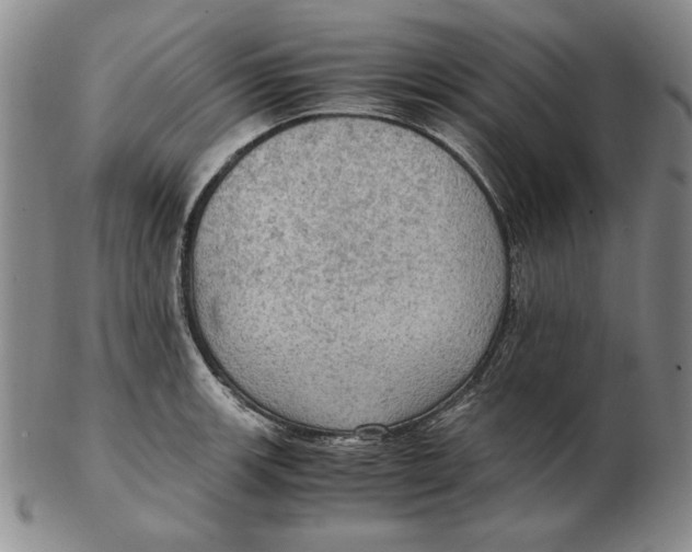 X0000103141139200809121748