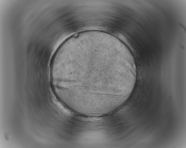 X0000103141140200809121748