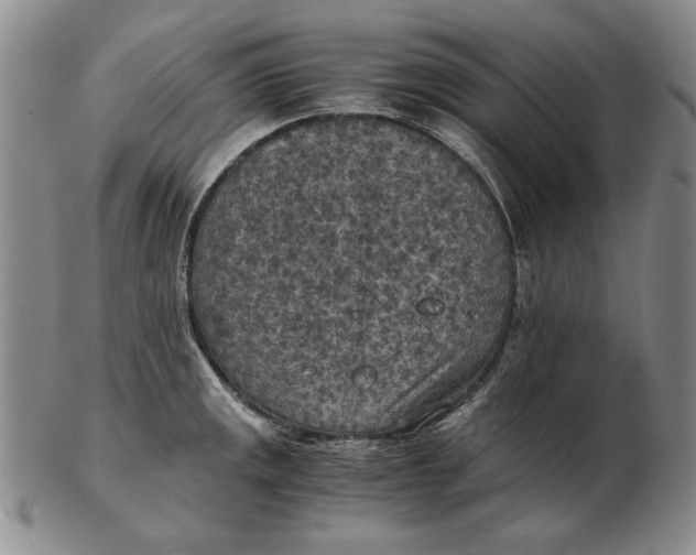 X0000103141141200809121748