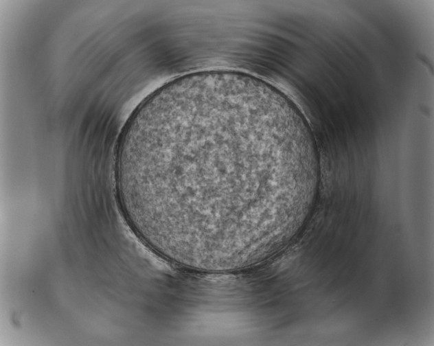 X0000103141142200809121748