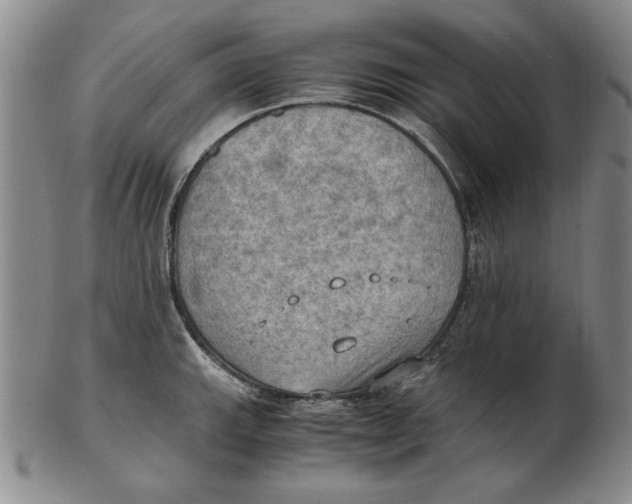 X0000103141143200809121748