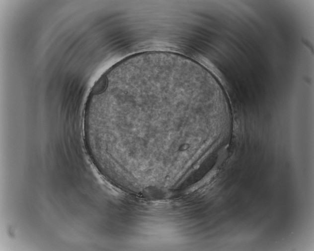 X0000103141144200809121748