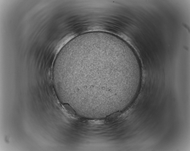 X0000103141145200809121748