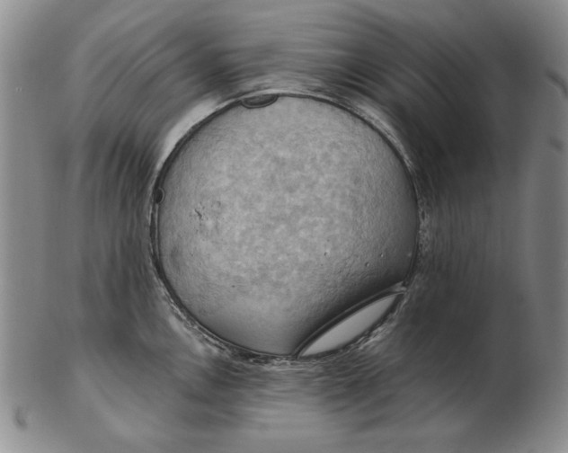 X0000103141146200809121748