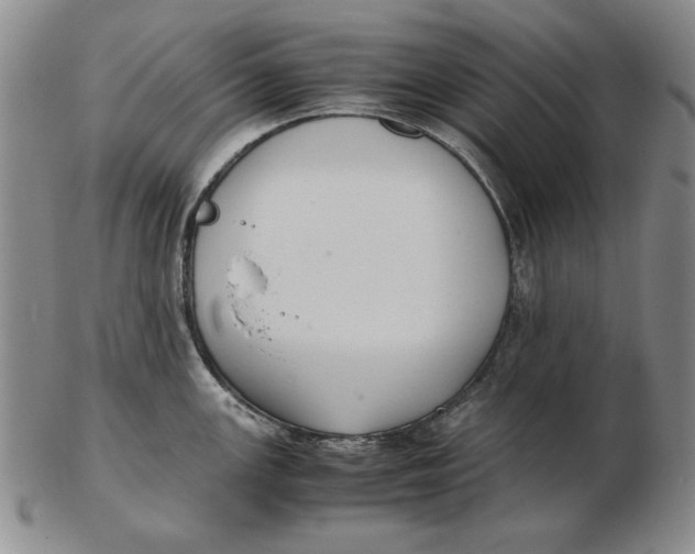 X0000103141147200809121748