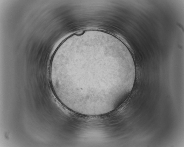 X0000103141148200809121748