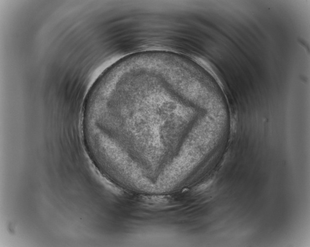 X0000103141149200809121748