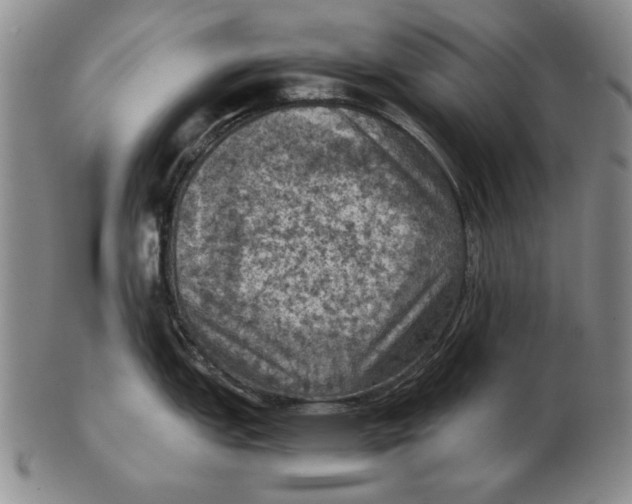 X0000103141151200809121748