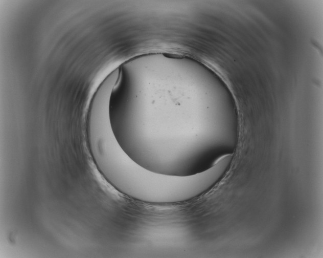 X0000103141152200809121748