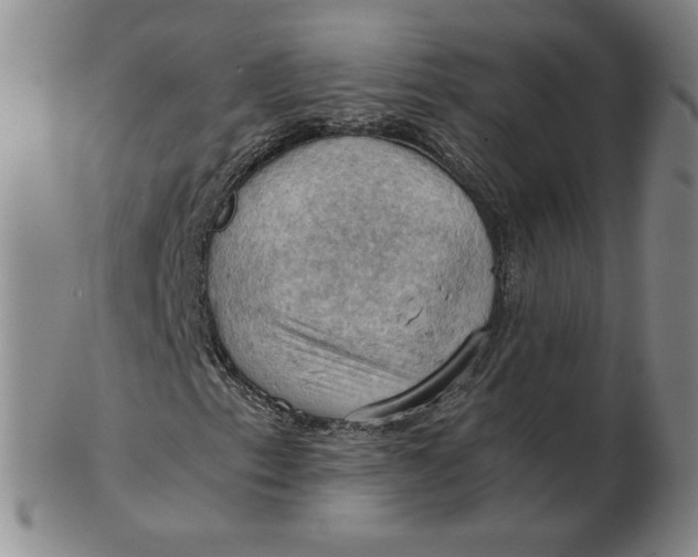 X0000103141153200809121748