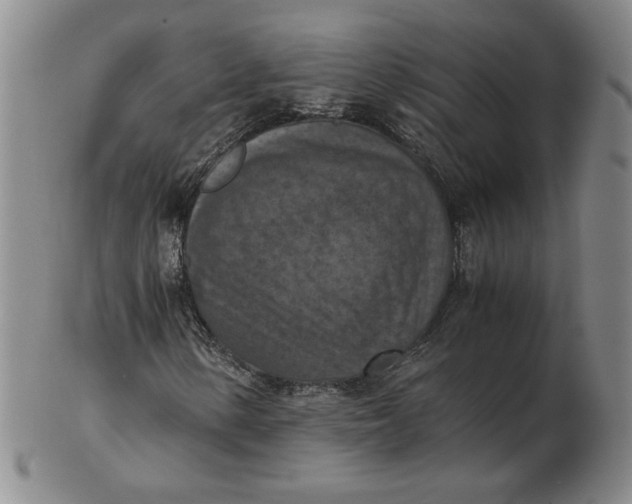 X0000103141154200809121748