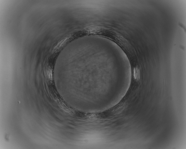 X0000103141155200809121748