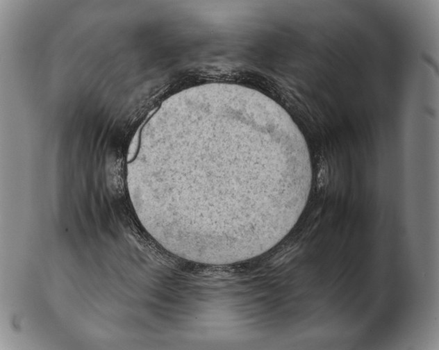 X0000103141156200809121748