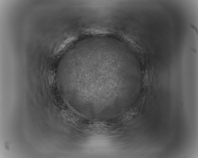 X0000103141157200809121748