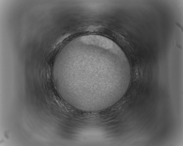 X0000103141158200809121748