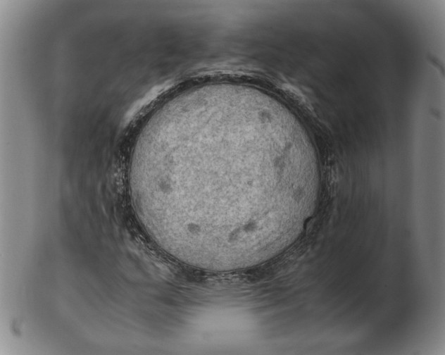 X0000103141159200809121747