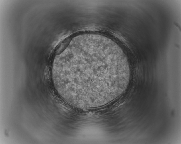 X0000103141160200809121747