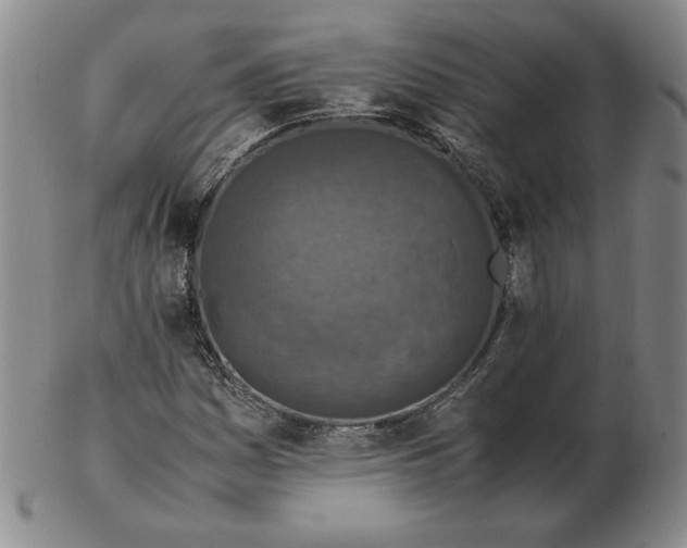 X0000103141161200809121747