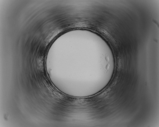 X0000103141162200809121747