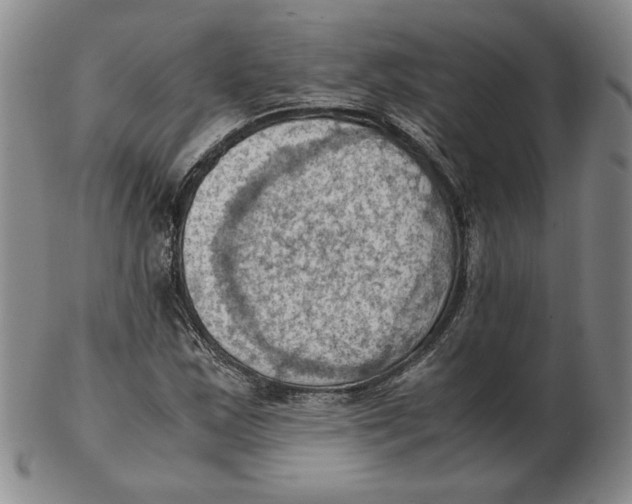 X0000103141163200809121747