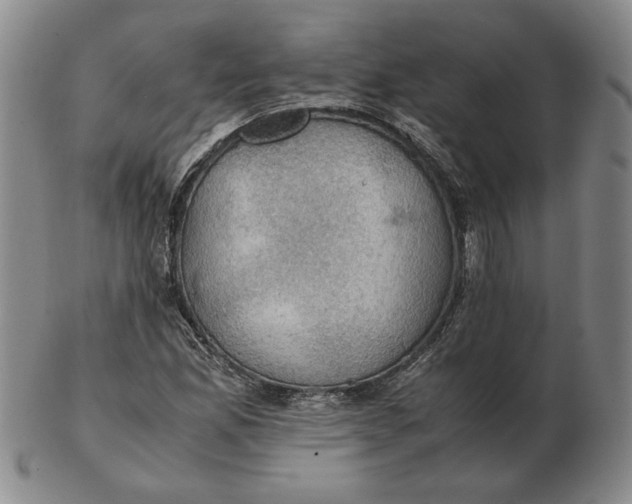 X0000103141165200809121747