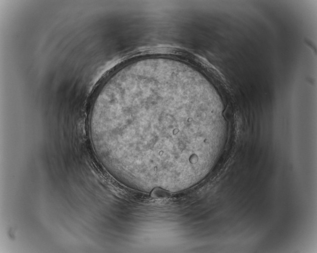 X0000103141166200809121747