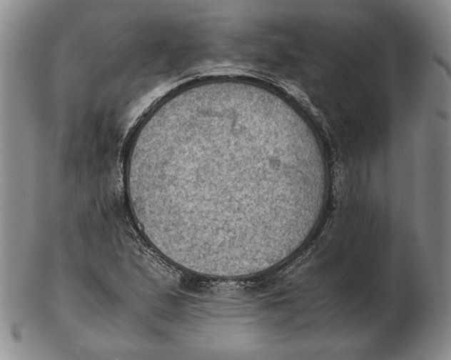 X0000103141167200809121747