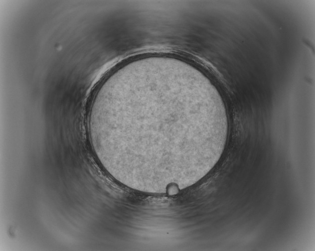 X0000103141168200809121747