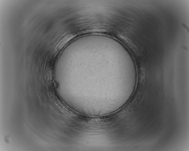 X0000103141169200809121747