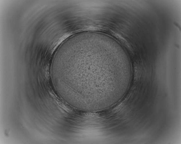 X0000103141170200809121747